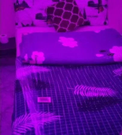 Wummies Place